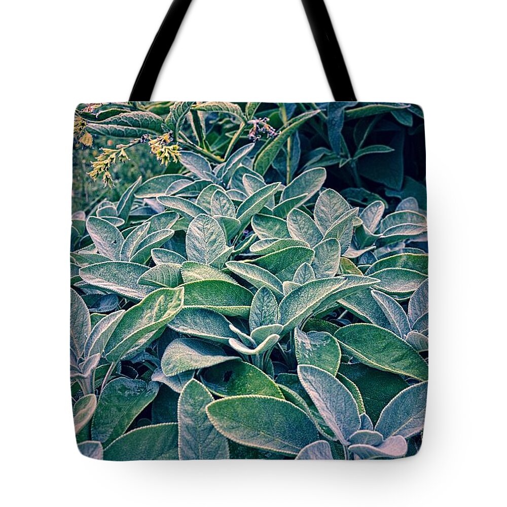 Sage Leaf Tote Bag featuring the photograph Sage in the Garden by Michelle Calkins