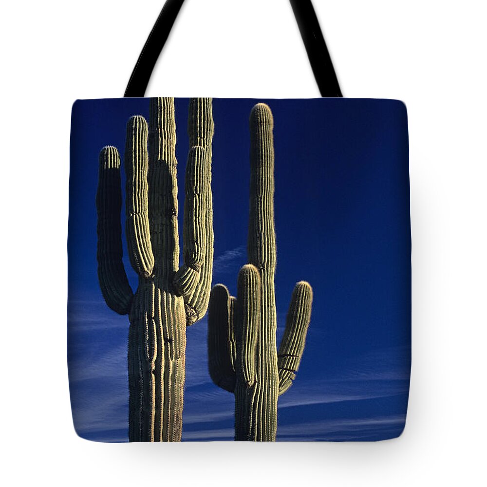 American Southwest Tote Bag featuring the photograph Saguaro cactus sunset Arizona State USA by Jim Corwin