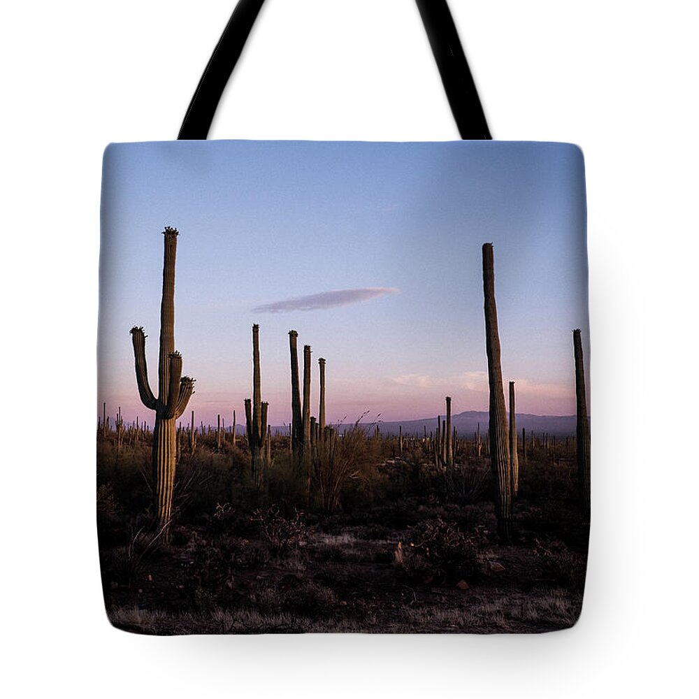 Tranquility Tote Bag featuring the photograph Saguaro National Park - Arizona by By Mrdurian / Tin Nguyen