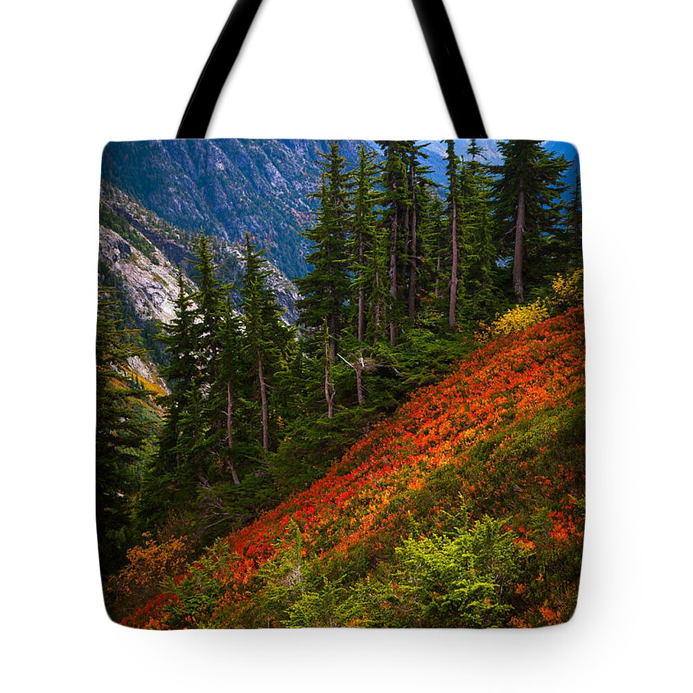 America Tote Bag featuring the photograph Sahale Arm by Inge Johnsson