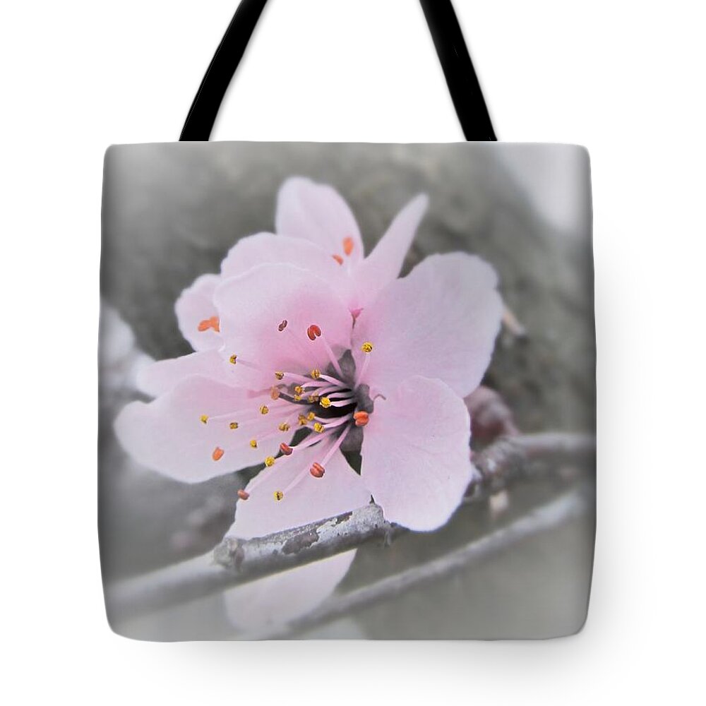 Sakura Tote Bag featuring the photograph Sakura Blossom by Marianna Mills