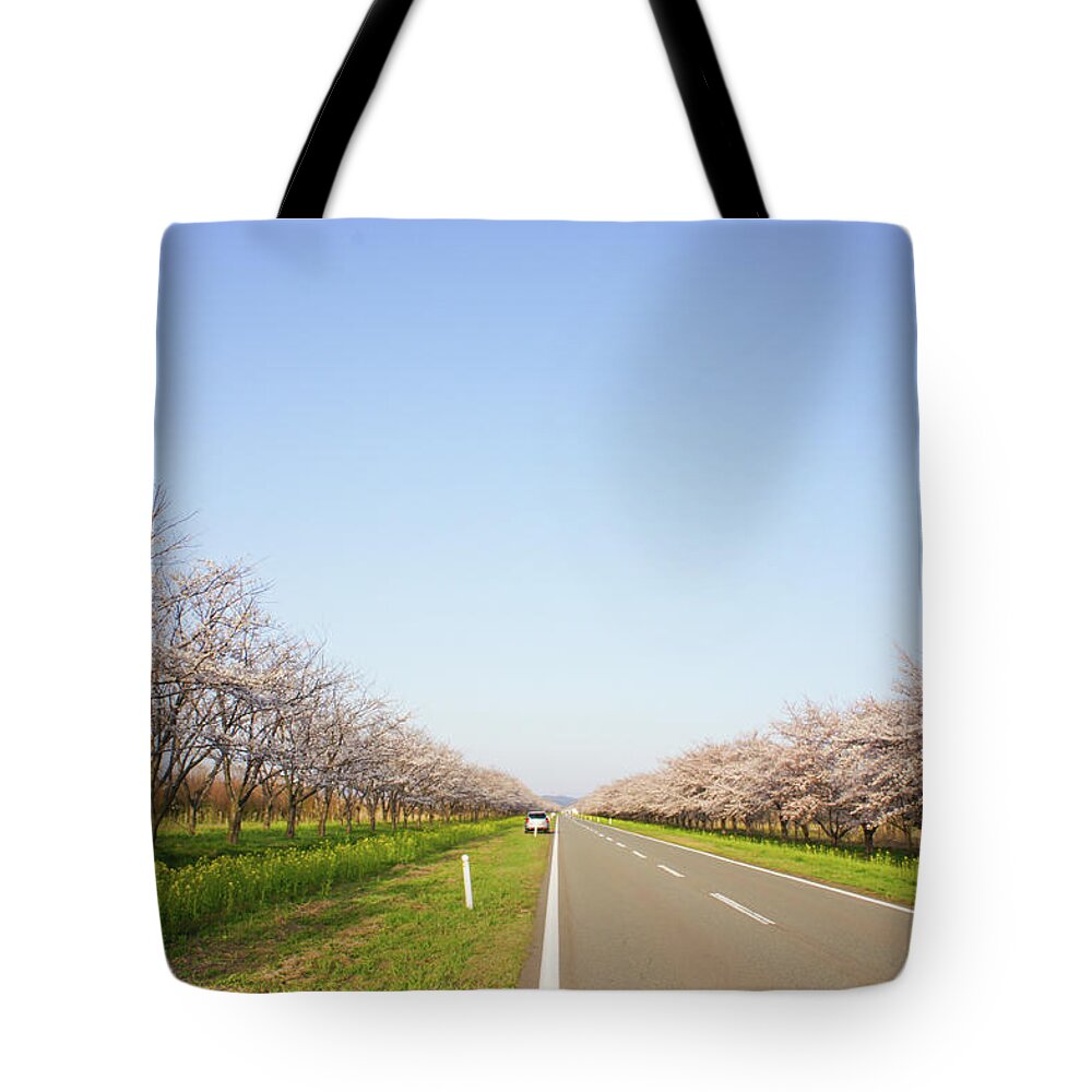 Tranquility Tote Bag featuring the photograph Sakura Road by Nachans