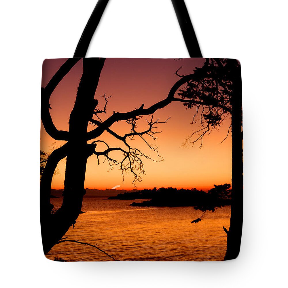 Sunrise Tote Bag featuring the photograph Salish Sunrise II by Randy Hall
