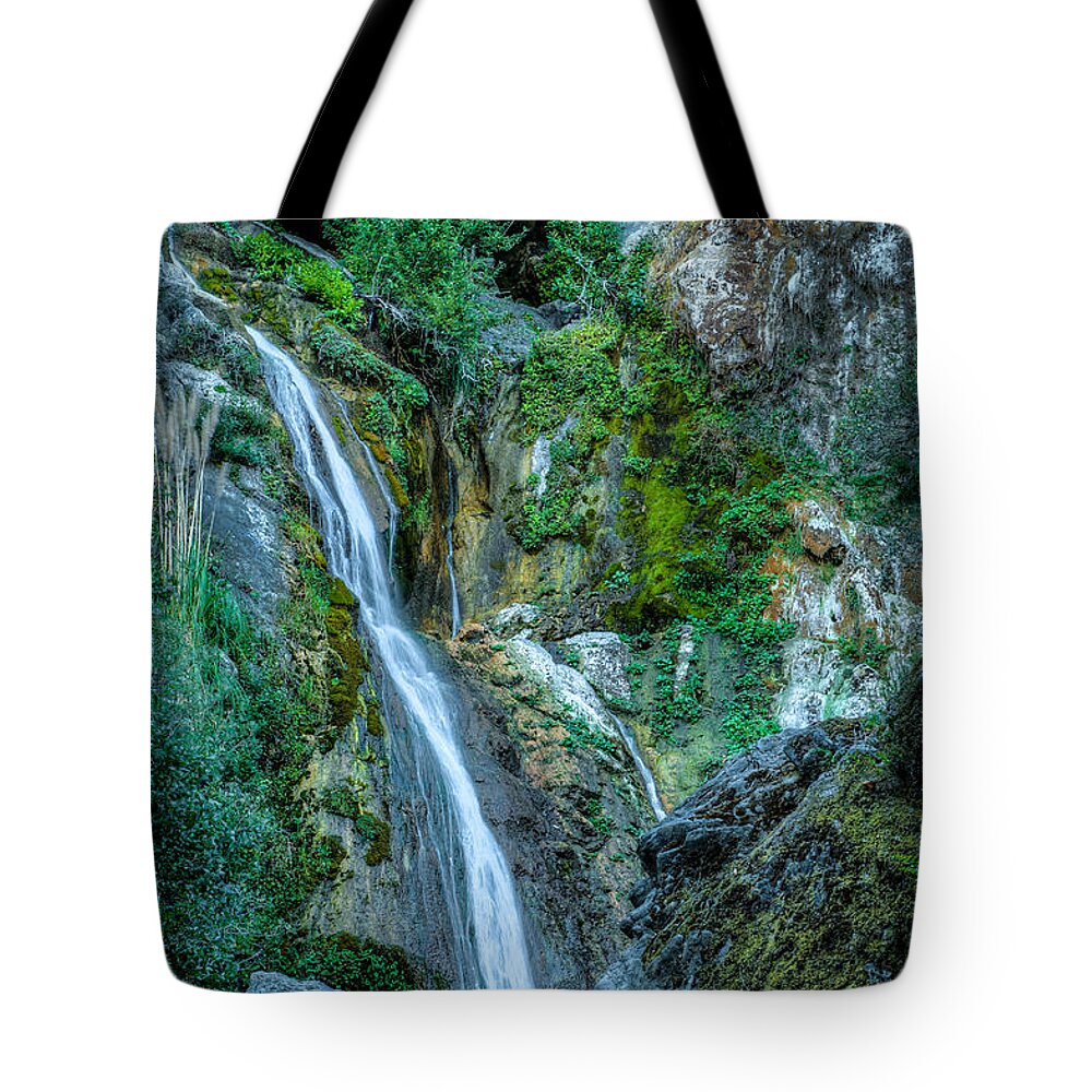 Big Sur Tote Bag featuring the photograph Salmon Falls by George Buxbaum