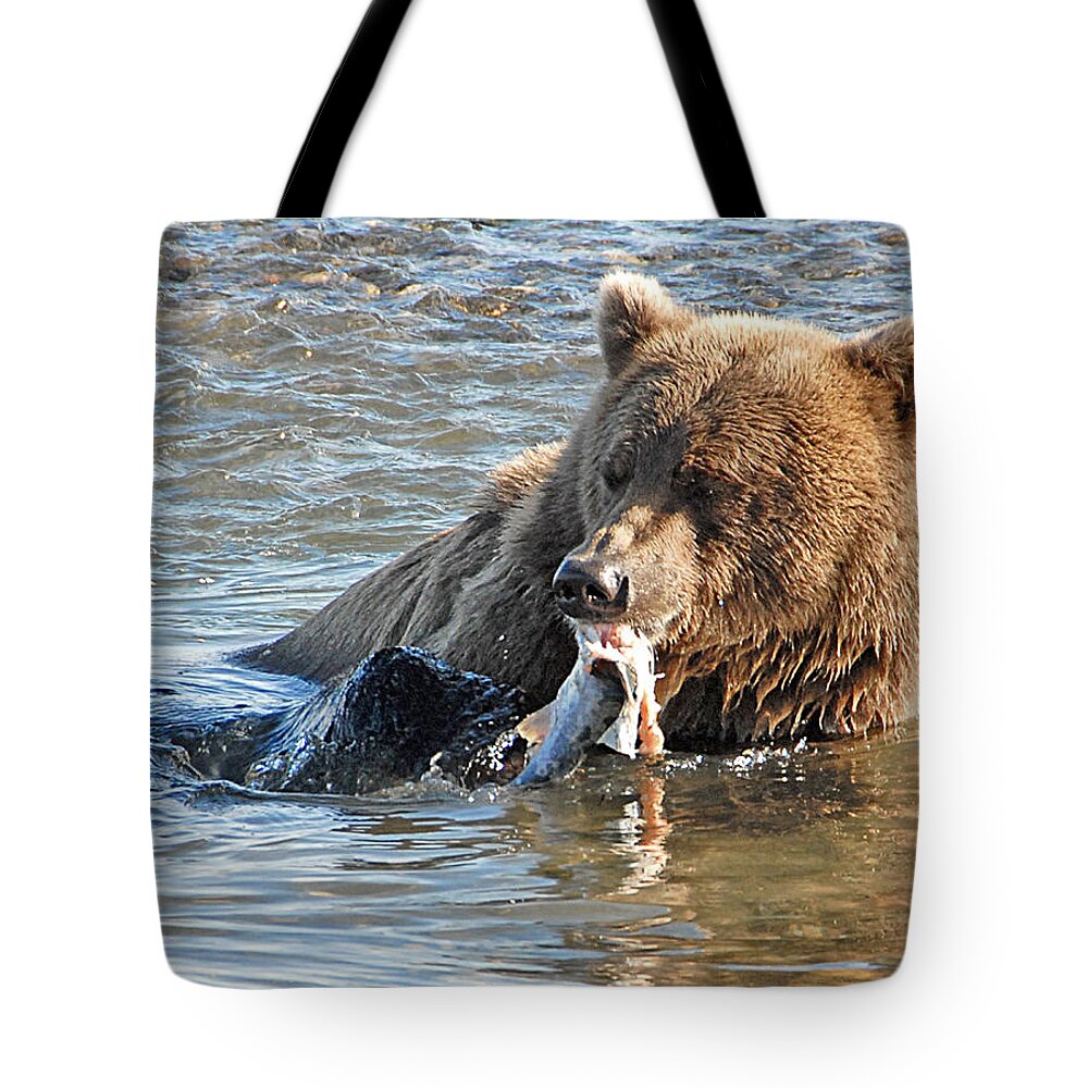 Bears Tote Bag featuring the photograph Dining on Salmon  by Dyle  Warren