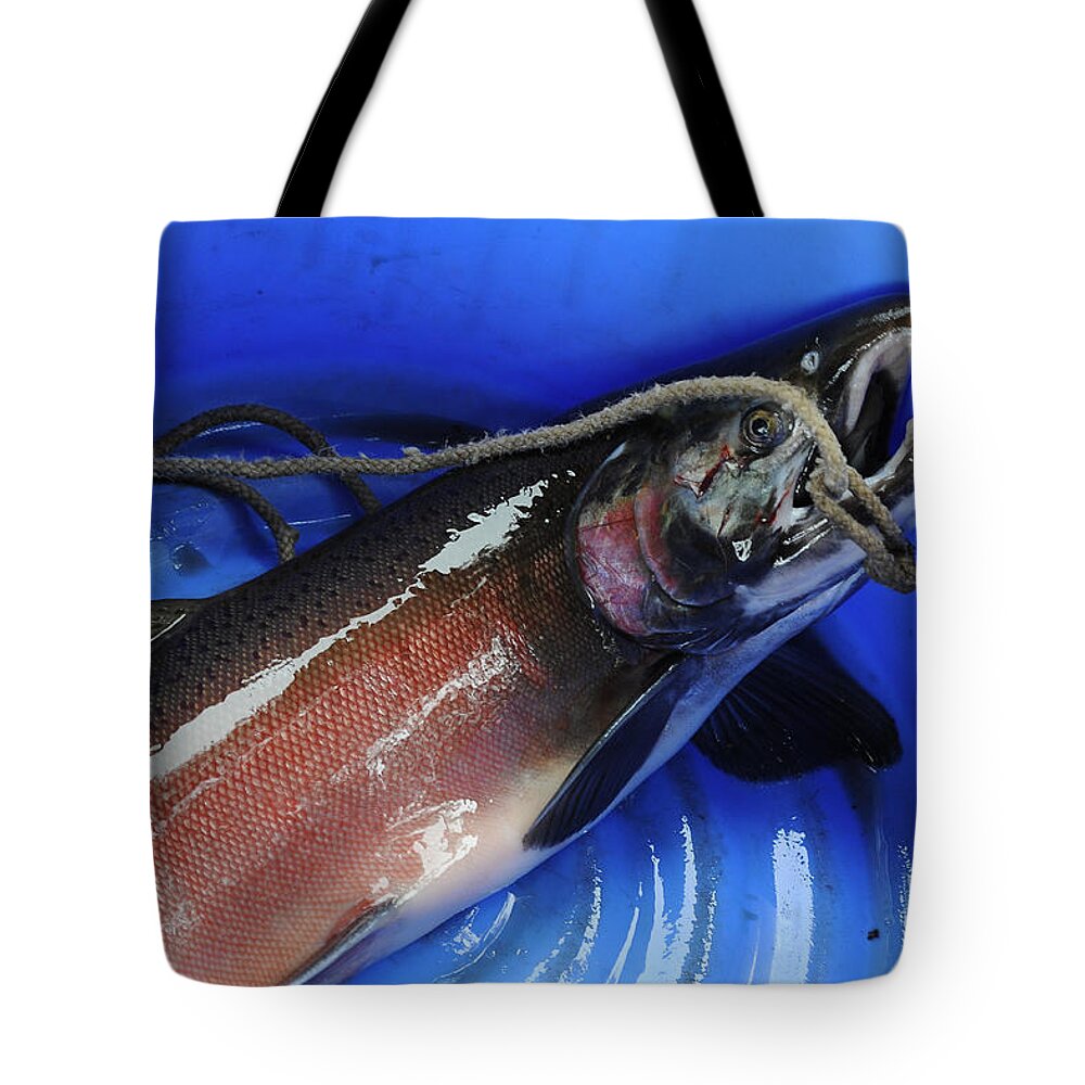 Salmon Tote Bag featuring the photograph Salmon in Blue by Mary Lee Dereske