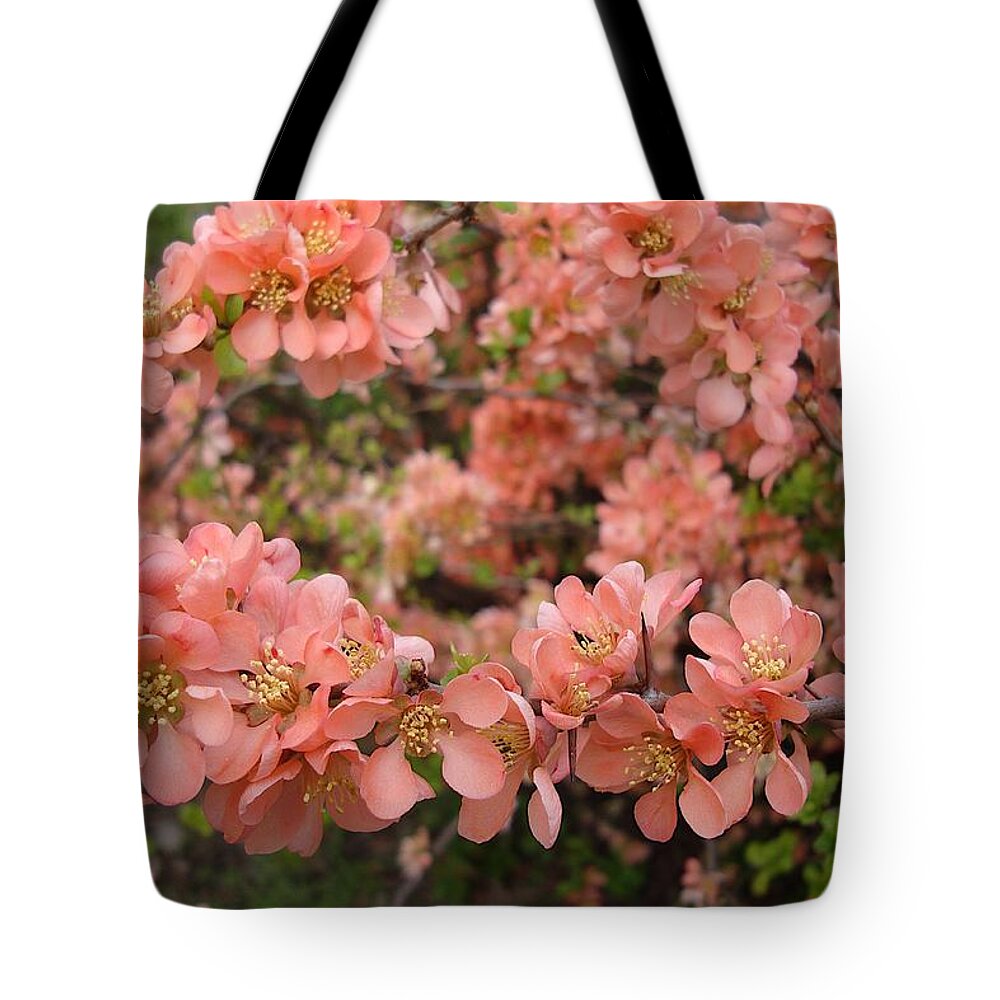 Michigan State University Tote Bag featuring the photograph Salmon by Joseph Yarbrough