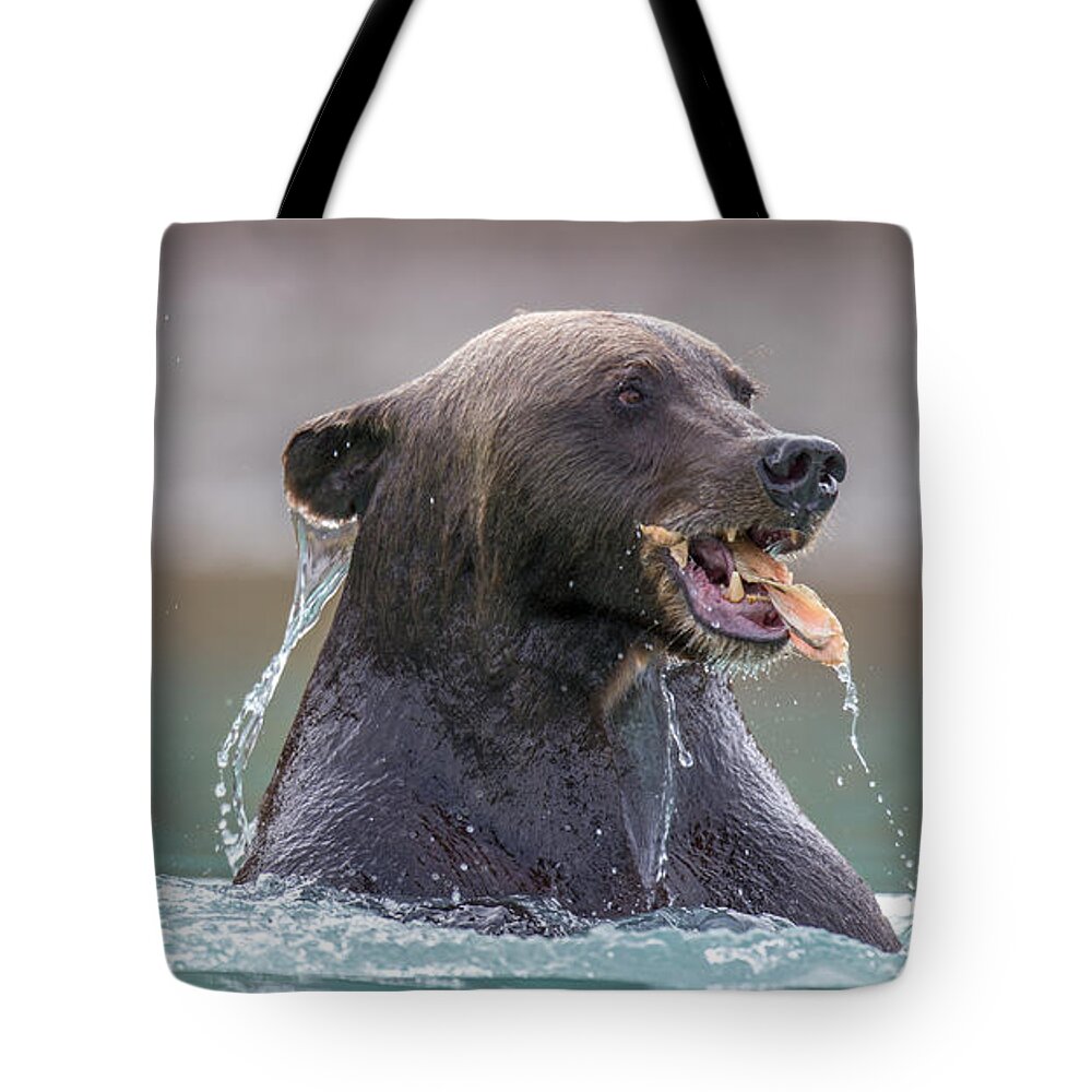 Bear Tote Bag featuring the photograph Salmon Success by Kevin Dietrich