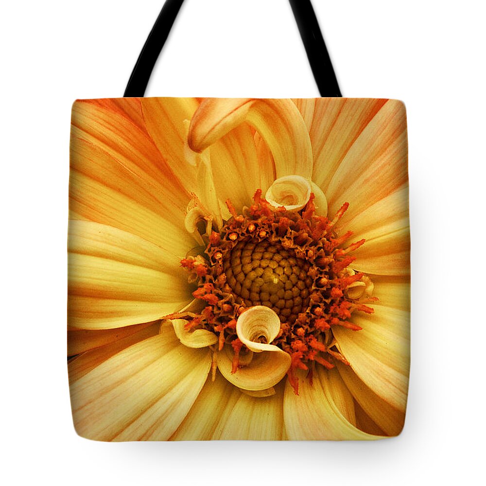 Flower Tote Bag featuring the photograph San Francisco Flower by Don Johnson
