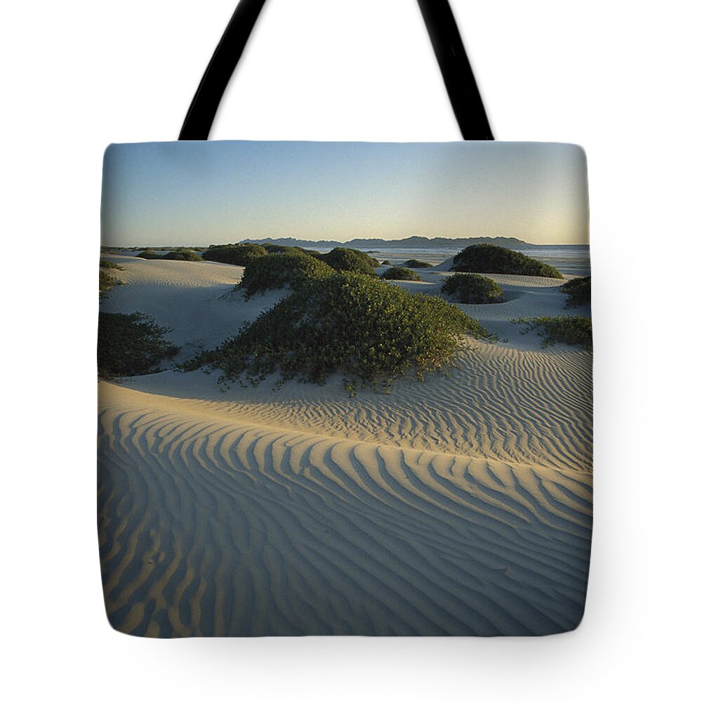 Feb0514 Tote Bag featuring the photograph Sand Dunes Magdalena Island Baja by Tui De Roy