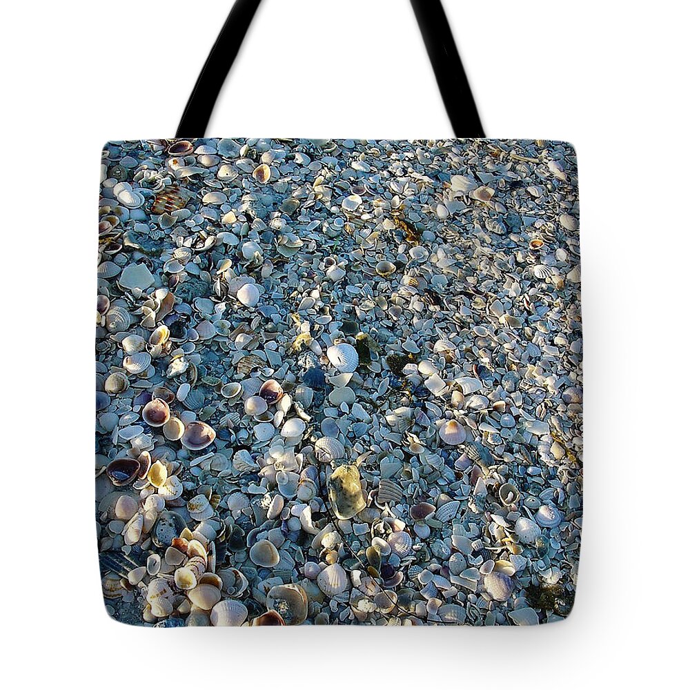 Sand Key Tote Bag featuring the photograph Sand Key Shells by David Nicholls