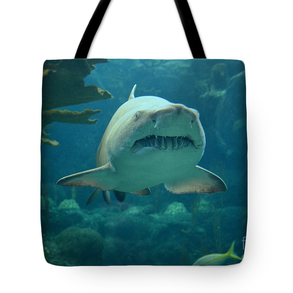 Sand Shark Tote Bag featuring the photograph Sand Shark by Robert Meanor