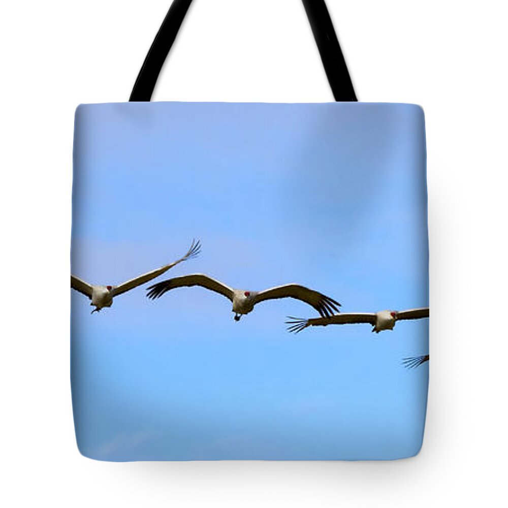 Sandhill Cranes Tote Bag featuring the photograph Sandhill Crane Flight Pattern by Michael Dawson