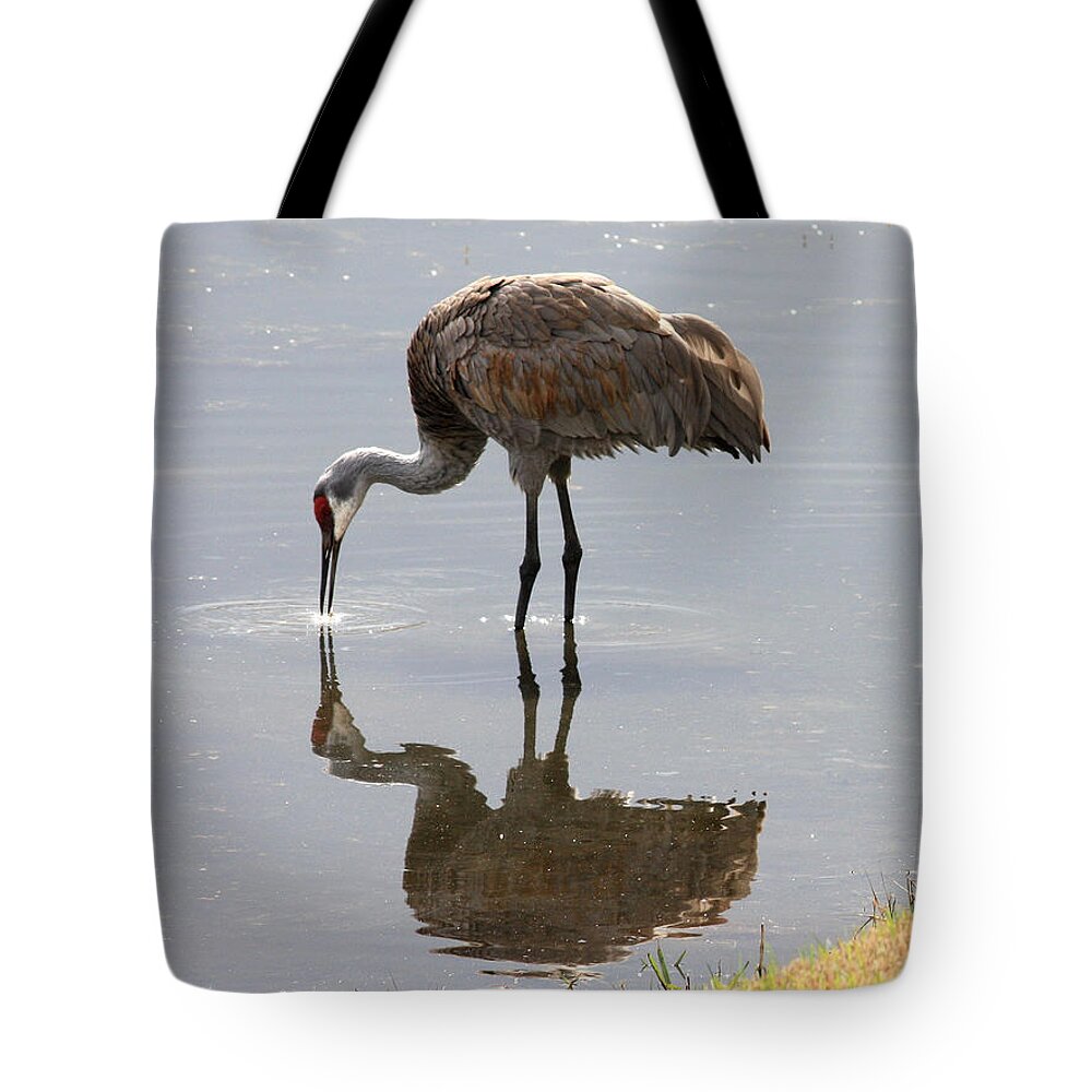 Sandhill Crane Tote Bag featuring the photograph Sandhill Crane on Sparkling Pond by Carol Groenen