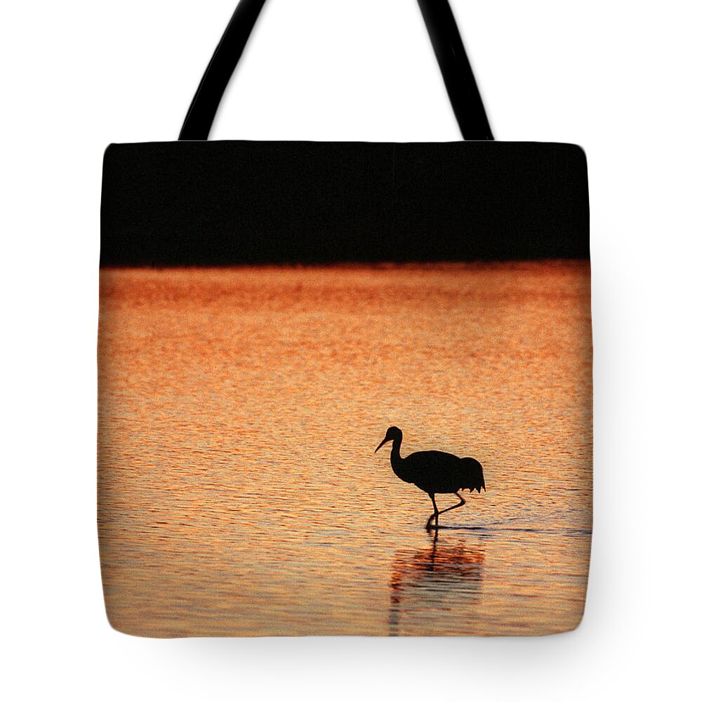 Sandhill Crane Tote Bag featuring the photograph Sandhill Crane by Steven Ralser