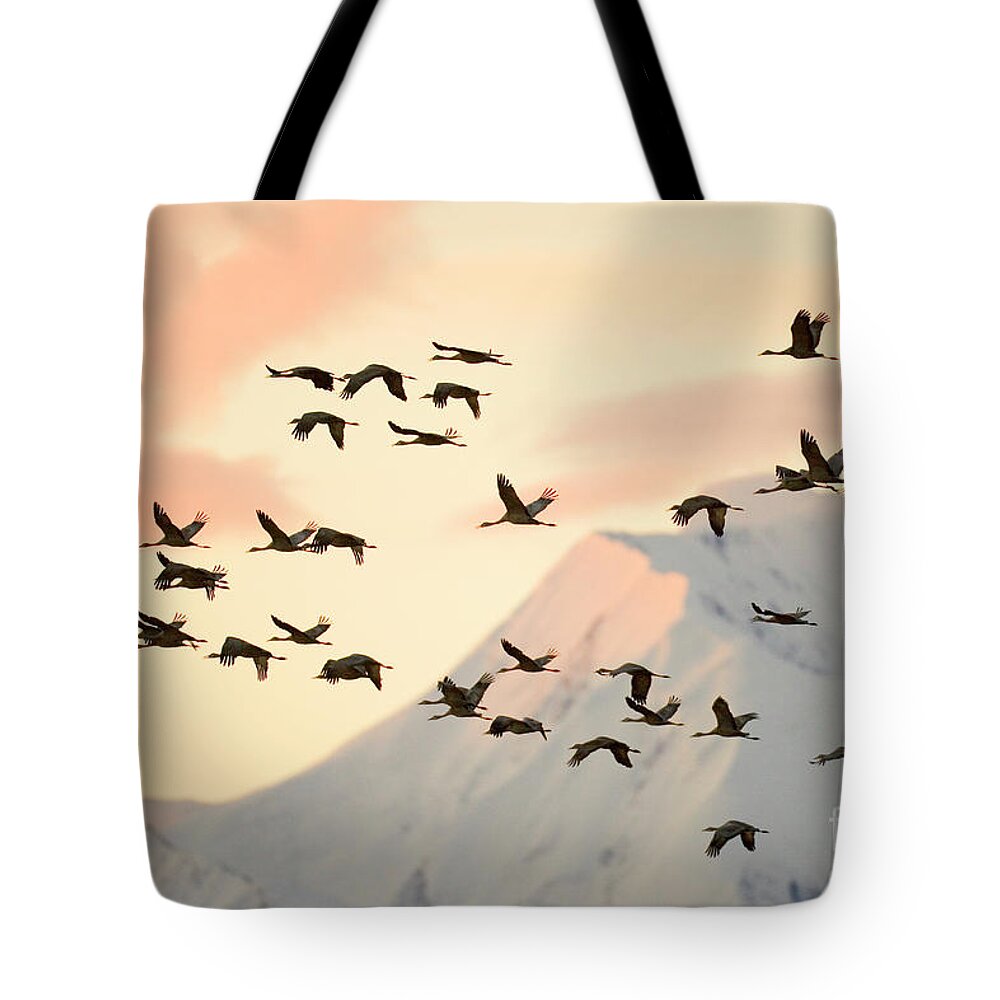 00345404 Tote Bag featuring the photograph Sandhill Cranes And Mt Denali At Sunrise by Yva Momatiuk John Eastcott