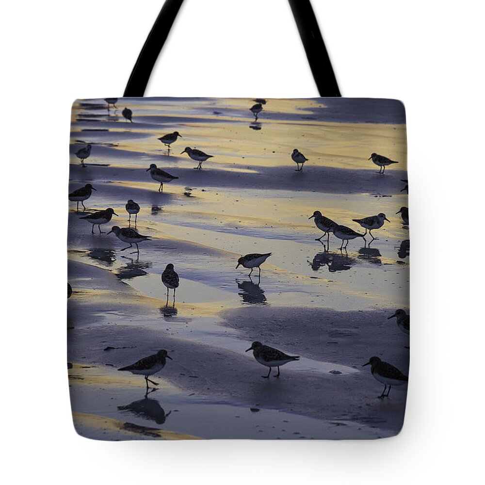 susan Molnar Tote Bag featuring the photograph Sandpiper Sunset Convention by Susan Molnar