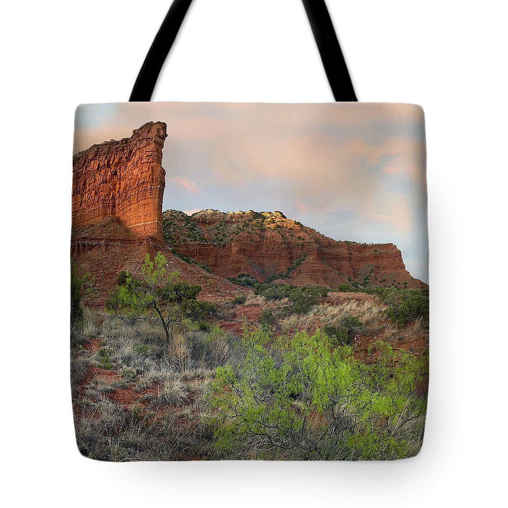 Feb0514 Tote Bag featuring the photograph Sandstone Cliffs Caprock Canyons Texas by Tim Fitzharris