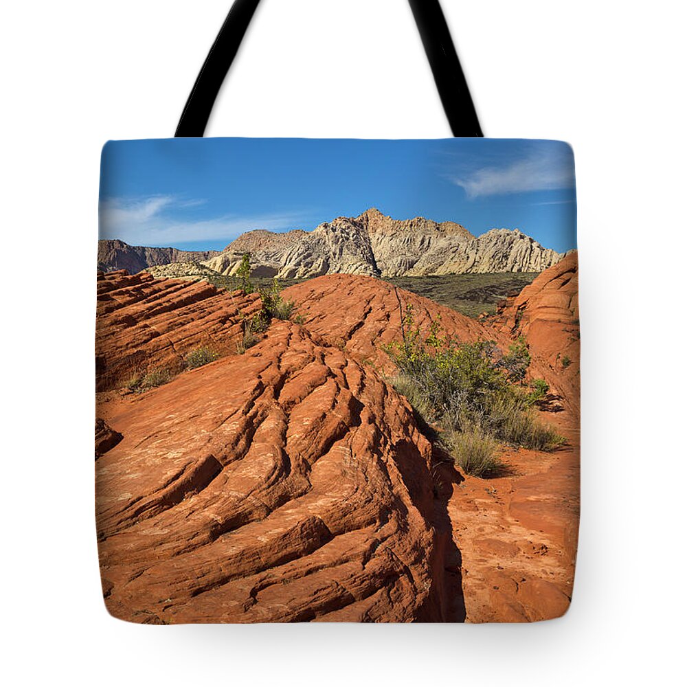 00559240 Tote Bag featuring the photograph Sandstone Formations Snow Canyon by Yva Momatiuk John Eastcott