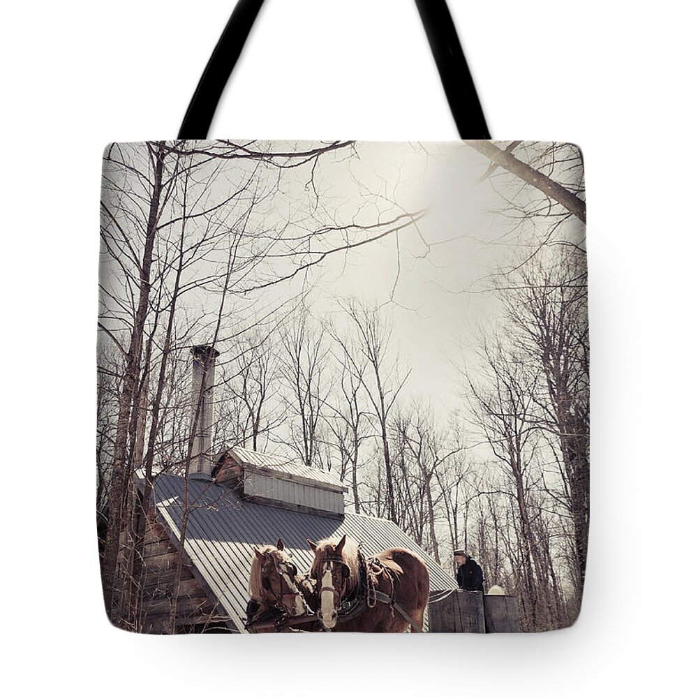 Maple Syrup Tote Bag featuring the photograph Sap Collection by Cheryl Baxter