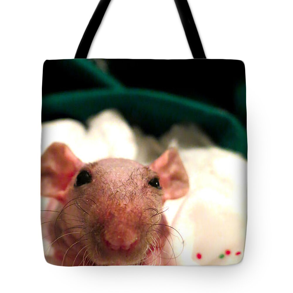 Hairless Tote Bag featuring the photograph Sarcasm by Art Dingo