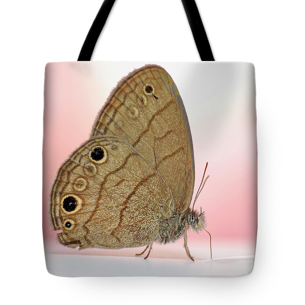 Photograph Tote Bag featuring the photograph Satyr by Larah McElroy