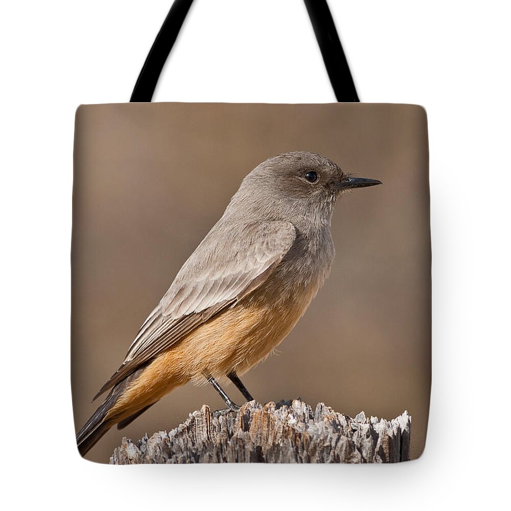 Animal Tote Bag featuring the photograph Say's Phoebe on a Fence Post by Jeff Goulden