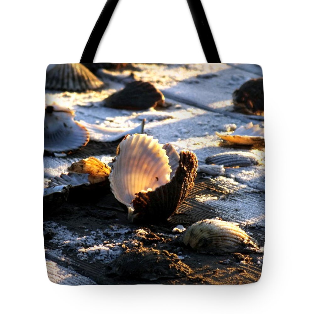Scallops Tote Bag featuring the photograph HALF SHELL on ICE by Karen Wiles