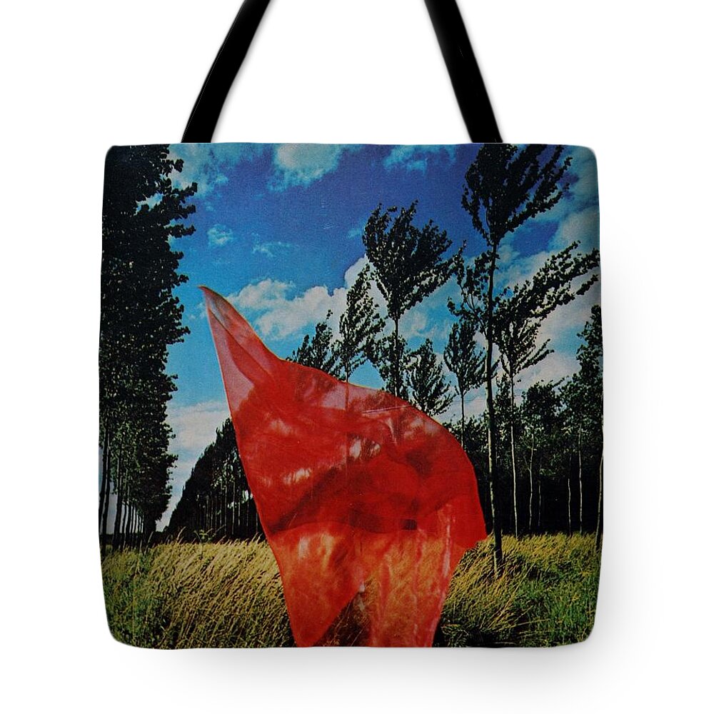 Scarf Tote Bag featuring the photograph SCARF in the WINDS by Rob Hans