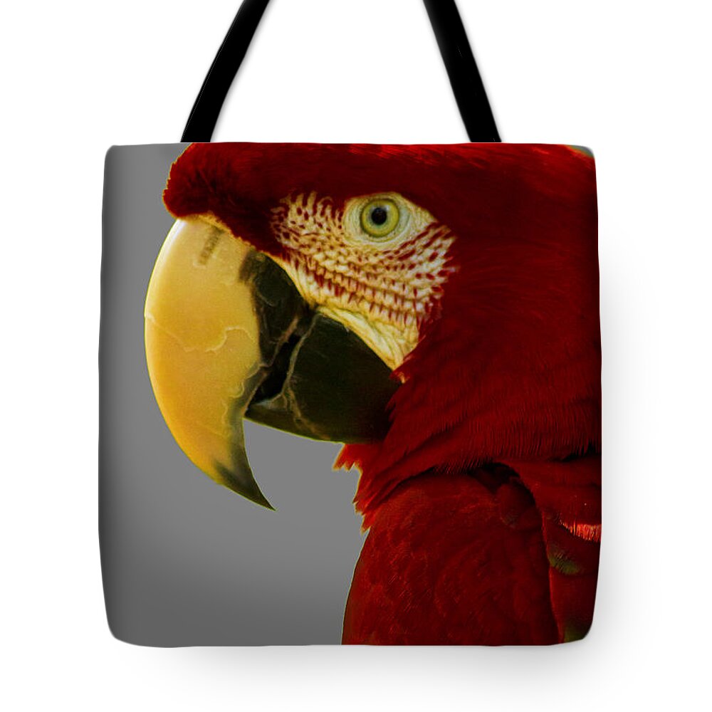Macaw Tote Bag featuring the photograph Scarlet Macaw by Bill Barber