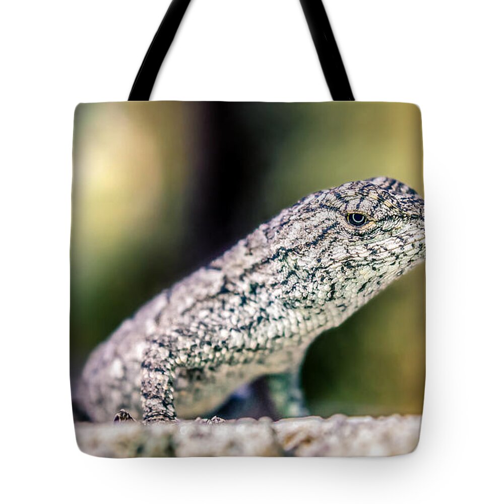 America Tote Bag featuring the photograph Sceloporus undulatus by Rob Sellers