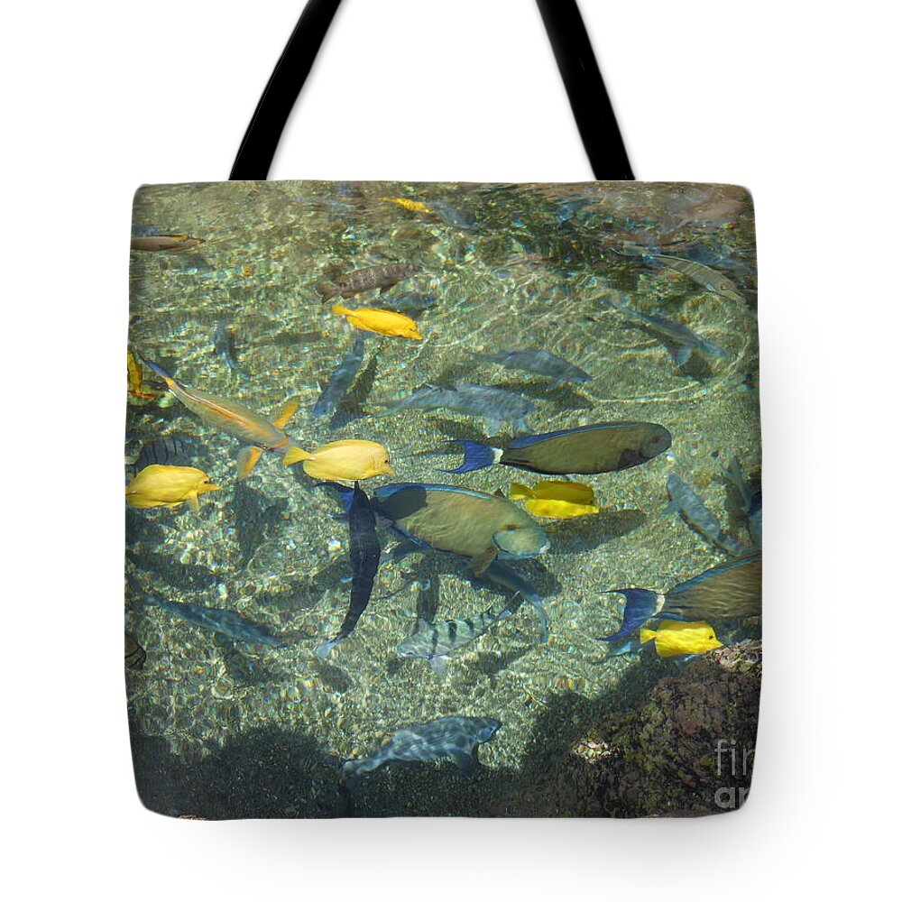 Tropical Tote Bag featuring the photograph Schools in Session by Fred Wilson