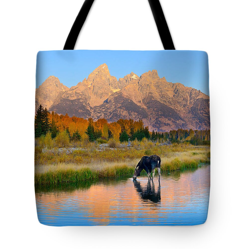 Grand Teton National Park Tote Bag featuring the photograph Schwabacher Morning Light by Greg Norrell