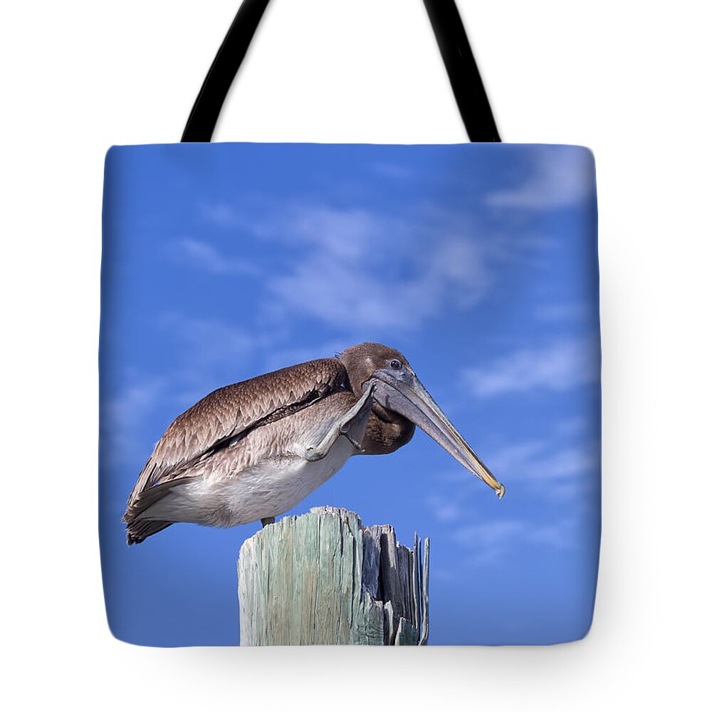 Pelican Tote Bag featuring the photograph Scratching by Kim Hojnacki