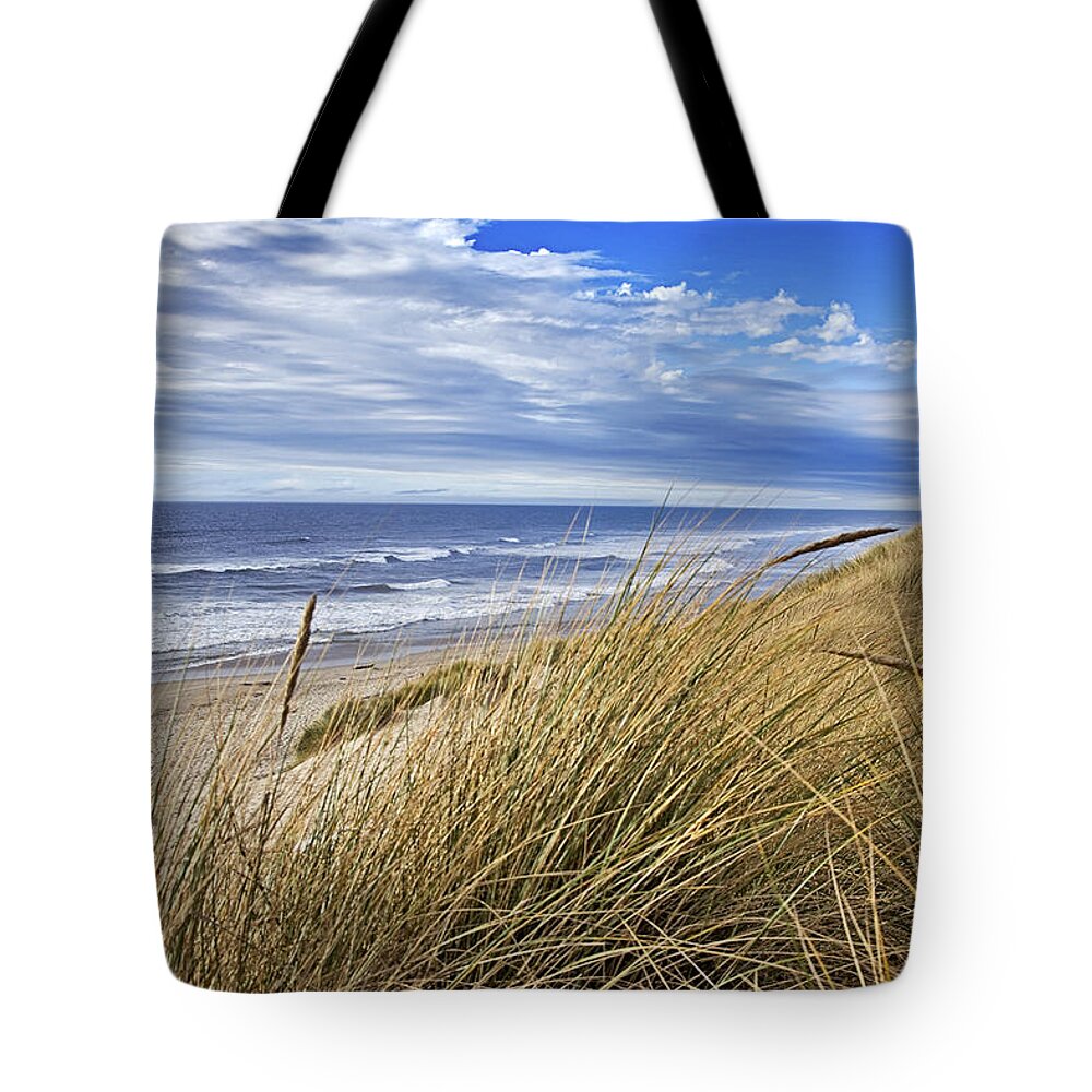 Sea Tote Bag featuring the photograph Sea Grass and Sand Dunes by Paul Riedinger