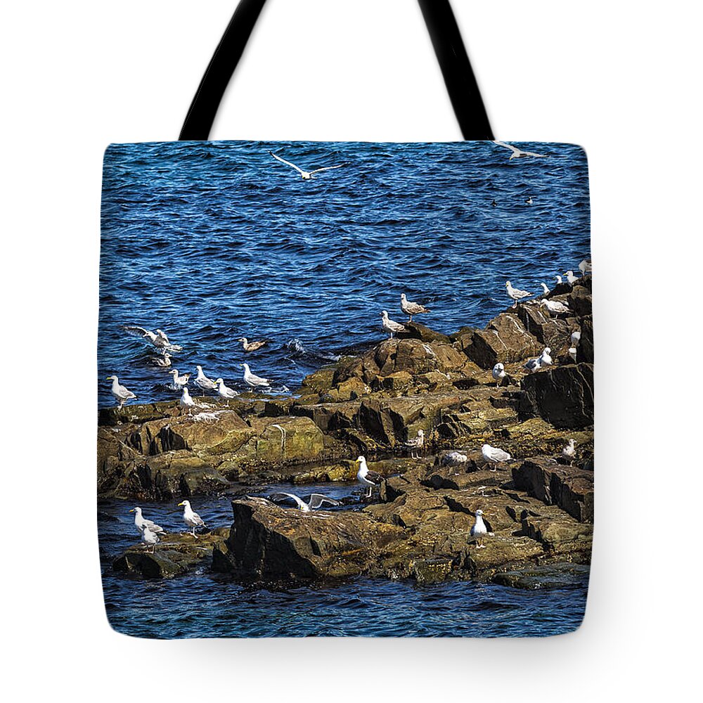 Sea Gulls Tote Bag featuring the photograph Sea Gulls 4 by Perla Copernik