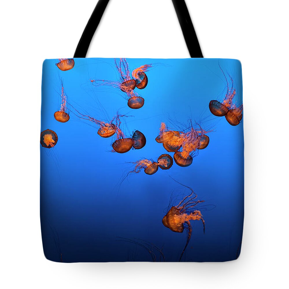 Underwater Tote Bag featuring the photograph Sea Life And Jelly Fish Underwater The by Pgiam