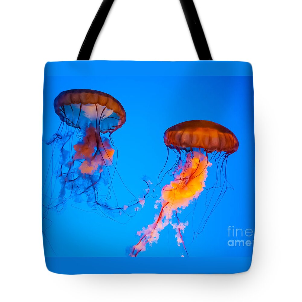 Jellyfish Tote Bag featuring the photograph Sea Nettles by Anthony Sacco