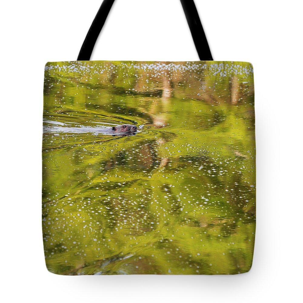 Green Tote Bag featuring the photograph Sea Of Green Square by Bill Wakeley