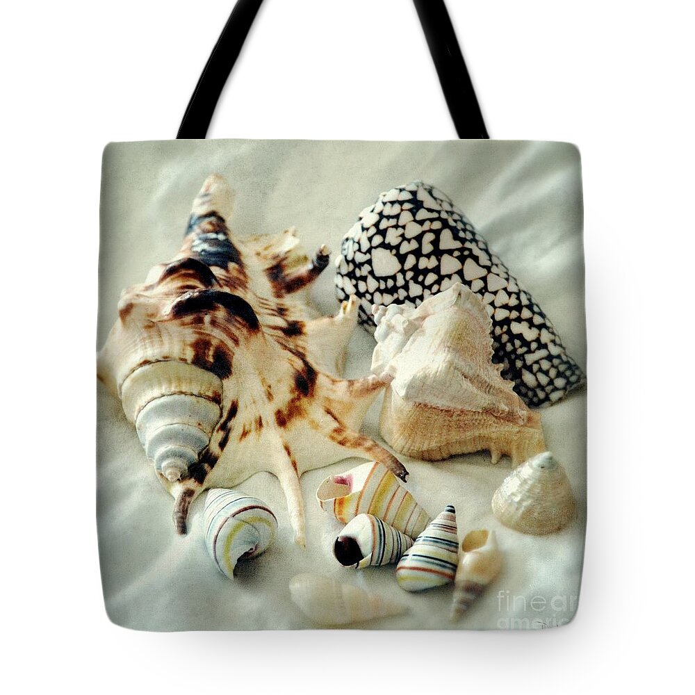 Sea Shells- Colorful Collection Tote Bag featuring the photograph Sea Shells- colorful collection by Darla Wood