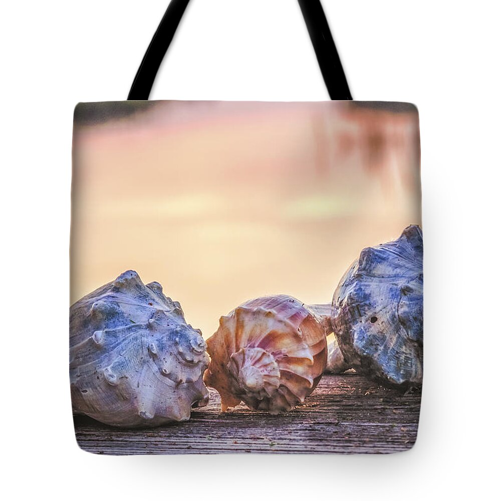 Shell Tote Bag featuring the photograph Sea Shells Image Art by Jo Ann Tomaselli