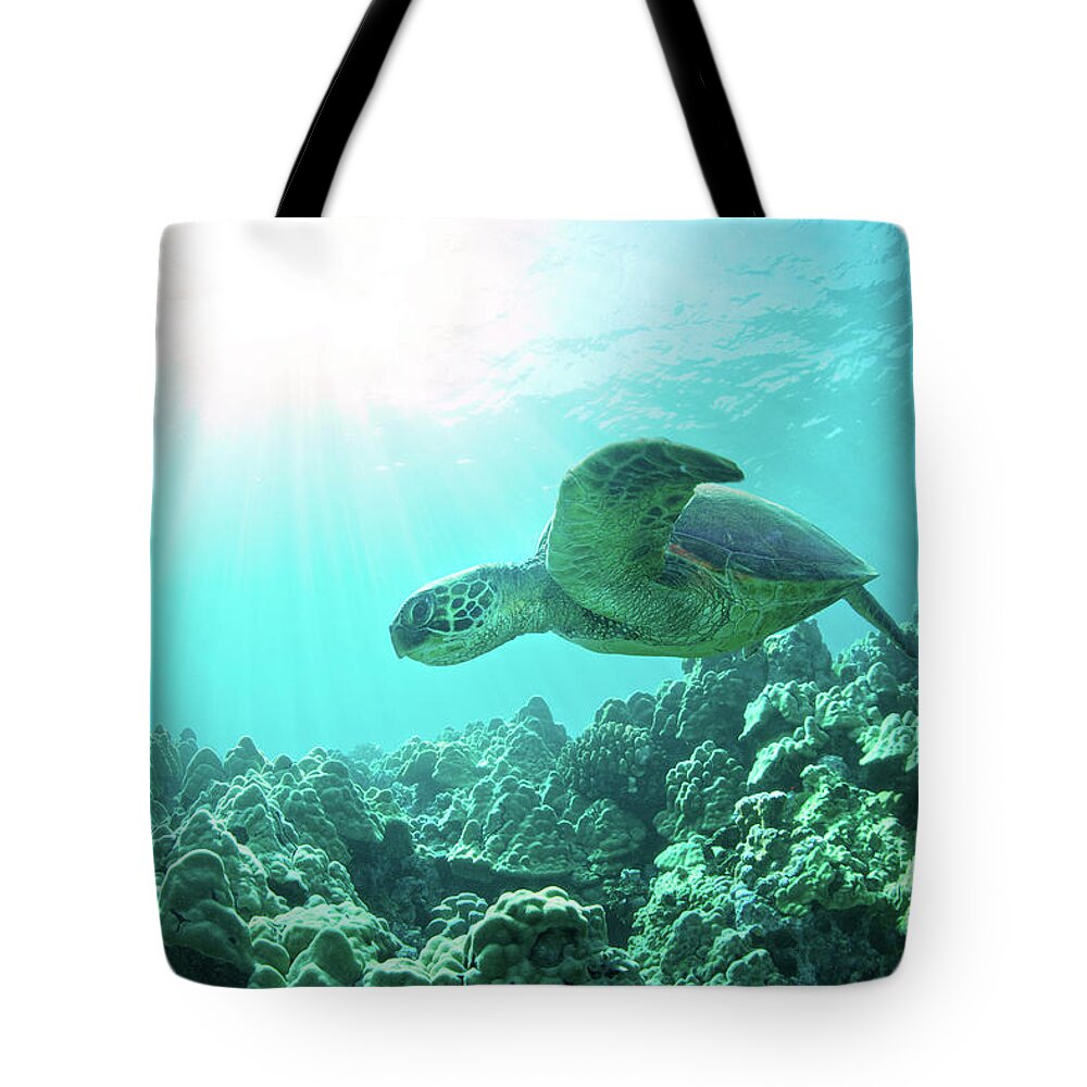 Underwater Tote Bag featuring the photograph Sea Turtle Light by M Swiet Productions