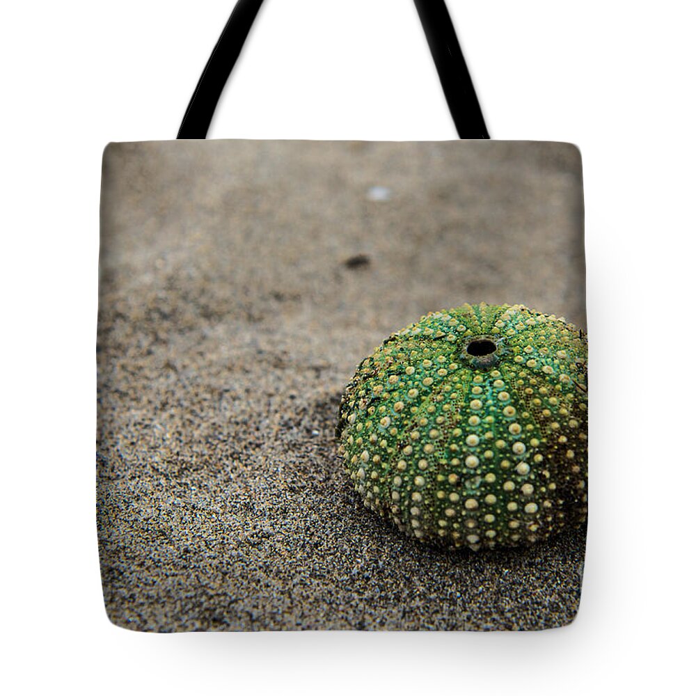 Friaul-julisch Venetien Tote Bag featuring the photograph Sea Urchin by Hannes Cmarits