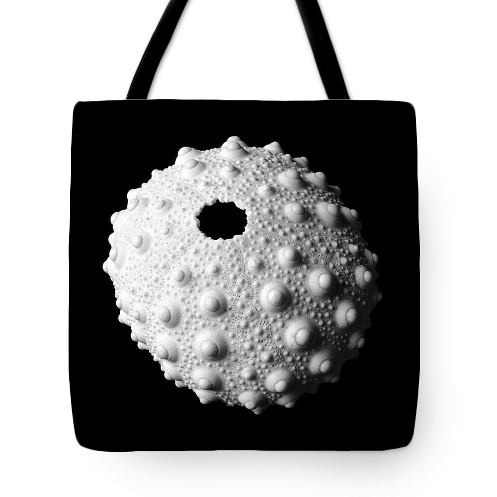 Sea Shell Tote Bag featuring the photograph Sea Urchin by Jim Hughes