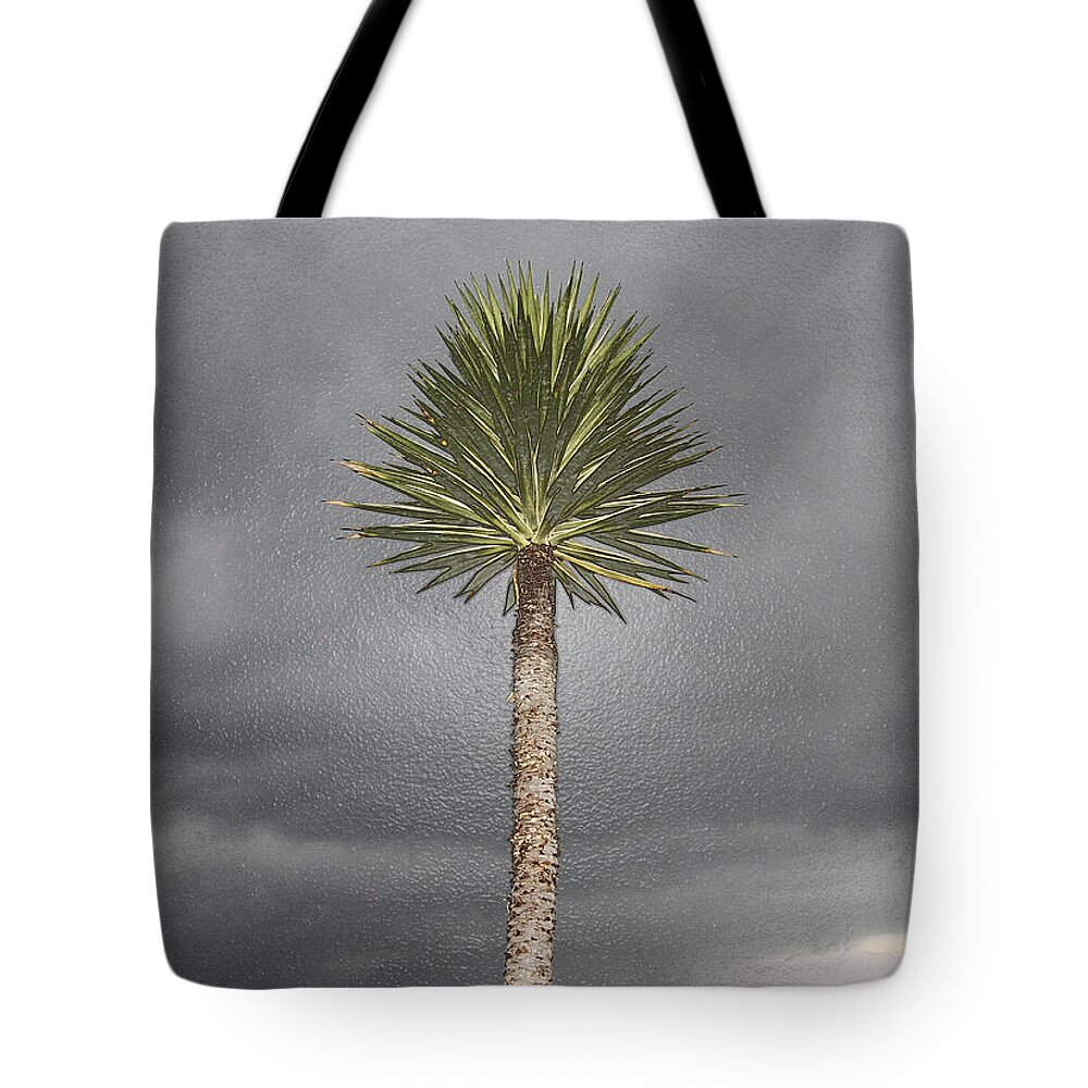 Tree Tote Bag featuring the photograph Sea Yucca by Andre Aleksis