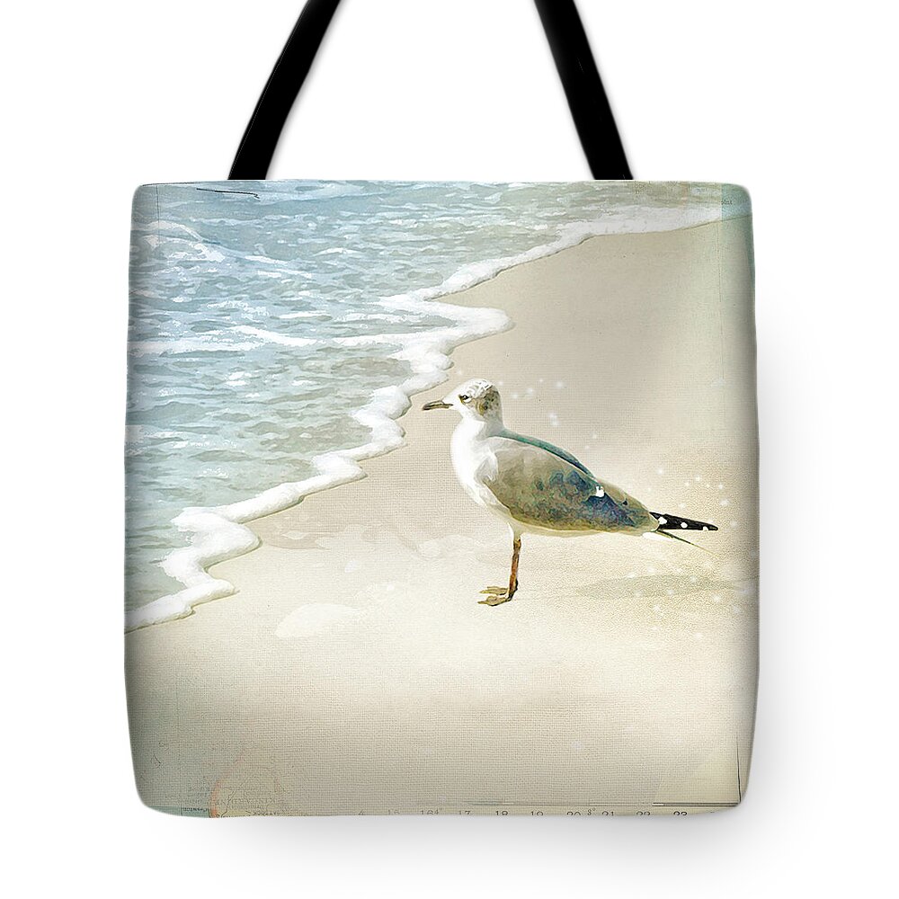 Seagull Tote Bag featuring the photograph Marco Island Seagull by Karen Lynch