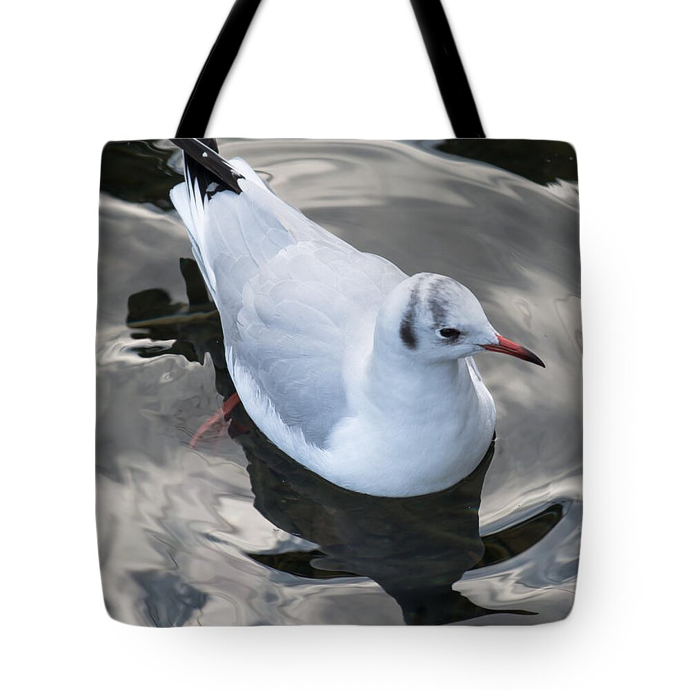 Seagull Tote Bag featuring the photograph Seagull And Water Reflections by Andreas Berthold