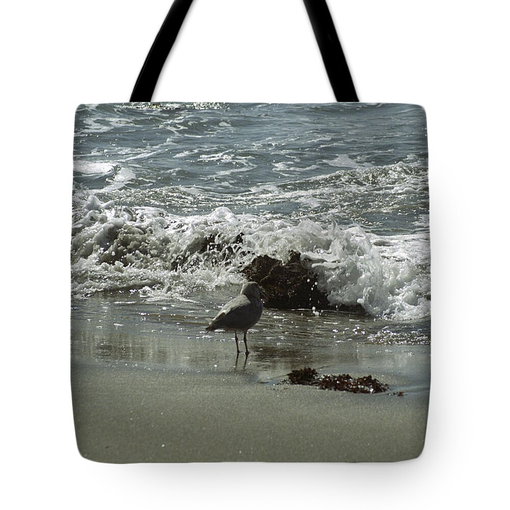 Seagull Tote Bag featuring the photograph Seagull by the Sea by Sharon Elliott