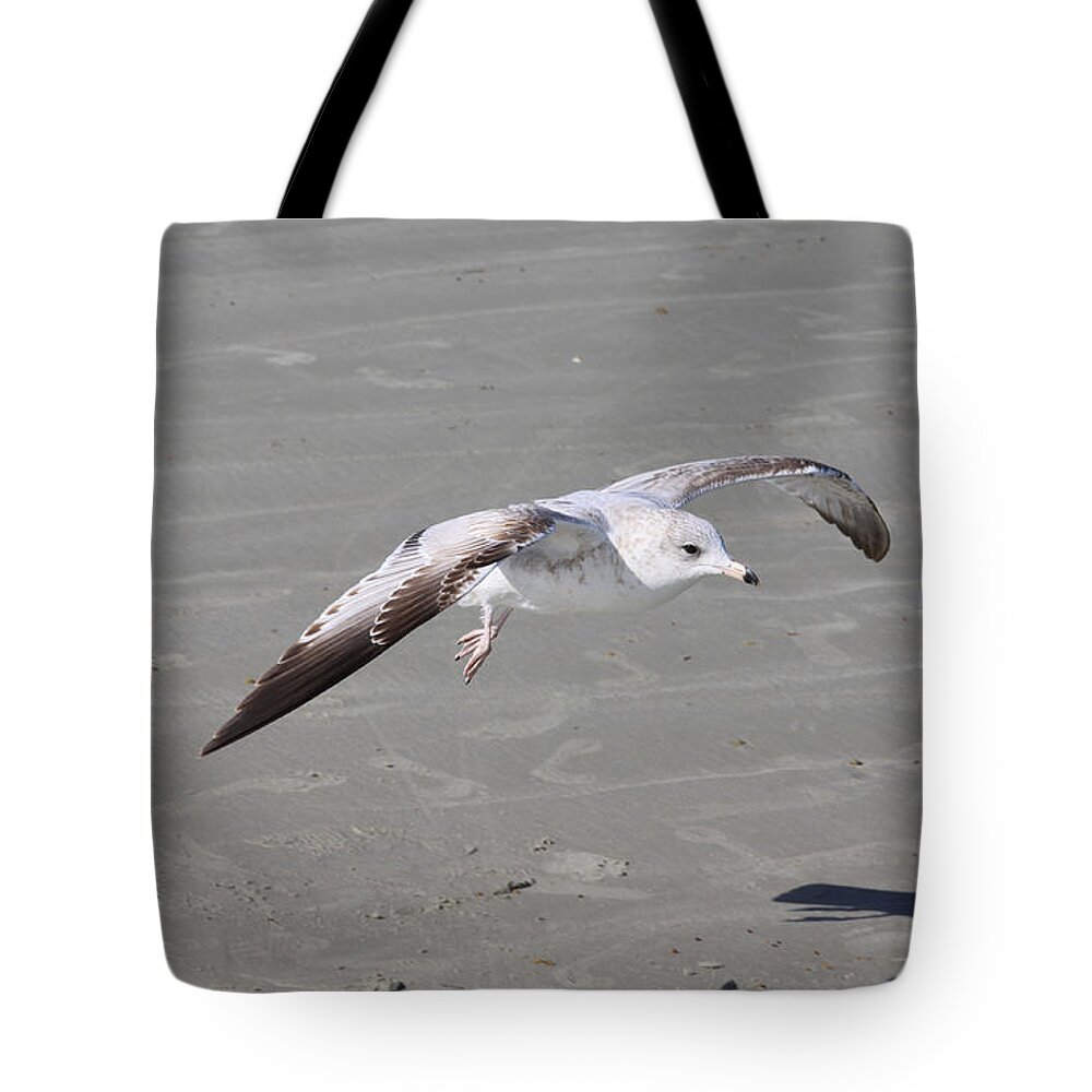 Seagull Tote Bag featuring the pyrography Seagull by Chris Thomas