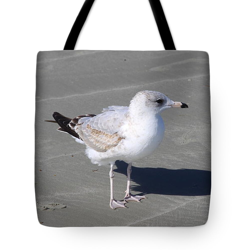 Seagull Tote Bag featuring the pyrography Seagull on the Hunt by Chris Thomas